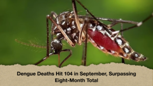 Dengue Deaths Hit 104 in September, Surpassing Eight-Month Total