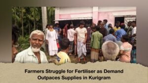 Farmers Struggle for Fertiliser as Demand Outpaces Supplies in Kurigram