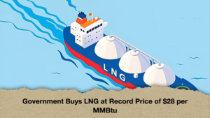 Government Buys LNG at Record Price of $28 per MMBtu