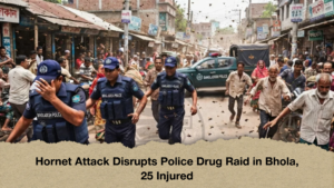 Hornet Attack Disrupts Police Drug Raid in Bhola, 25 Injured