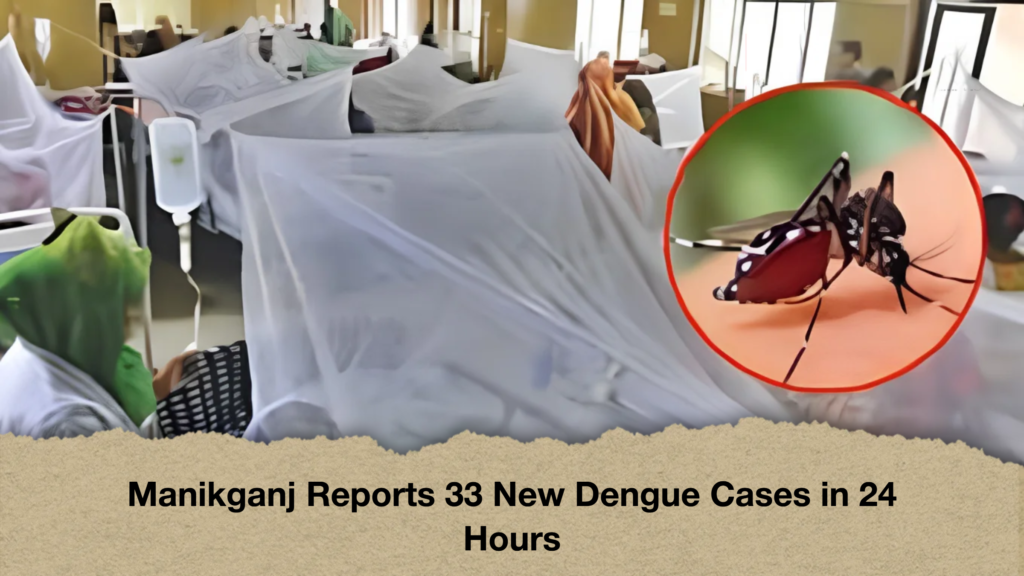 Manikganj Reports 33 New Dengue Cases in 24 Hours