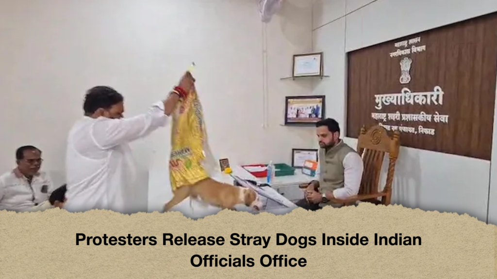 Protesters Release Stray Dogs Inside Indian Officials OfficeProtesters Release Stray Dogs Inside Indian Officials Office