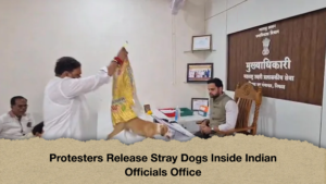Protesters Release Stray Dogs Inside Indian Officials OfficeProtesters Release Stray Dogs Inside Indian Officials Office