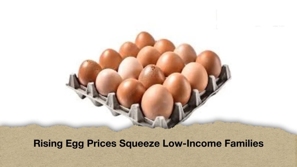 Rising Egg Prices Squeeze Low-Income Families