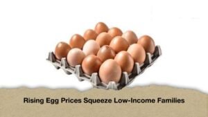 Rising Egg Prices Squeeze Low-Income Families