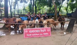 Smuggled Goods Worth Tk 18.6 Million Seized at Sylhet Border