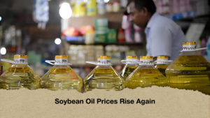 Soybean Oil Prices Rise Again