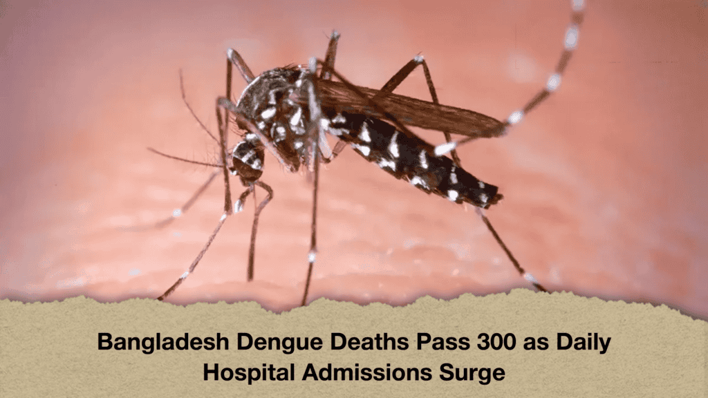 Bangladesh Daengue Deaths Pass 300 as Daily Hospital Admissions Surge
