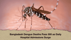 Bangladesh Daengue Deaths Pass 300 as Daily Hospital Admissions Surge