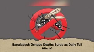 Bangladesh Dengue Deaths Surge as Daily Toll Hits 10