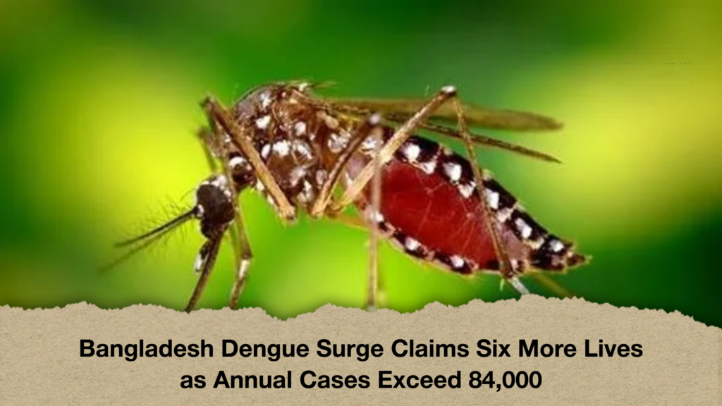 Bangladesh Dengue Surge Claims Six More Lives as Annual Cases Exceed 84,000