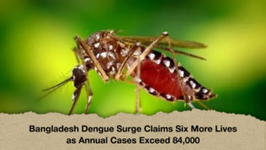 Bangladesh Dengue Surge Claims Six More Lives as Annual Cases Exceed 84,000
