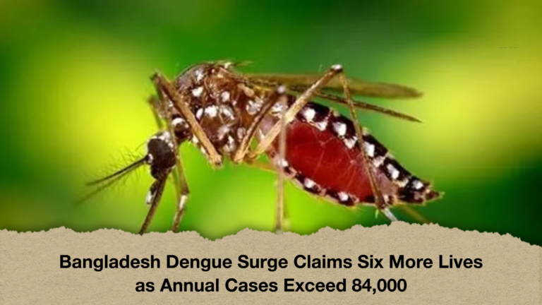 Bangladesh Dengue Surge Claims Six More Lives as Annual Cases Exceed 84,000