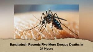 Bangladesh Records Five More Dengue Deaths in 24 Hours