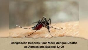 Bangladesh Records Four More Dengue Deaths as Admissions Exceed 1,100