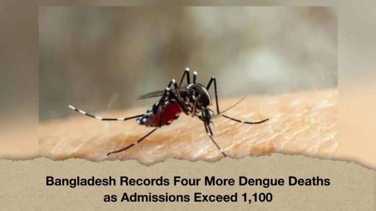 Bangladesh Records Four More Dengue Deaths as Admissions Exceed 1,100