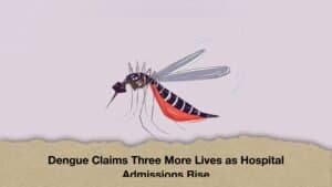 Dengue Claims Three More Lives as Hospital Admissions Rise
