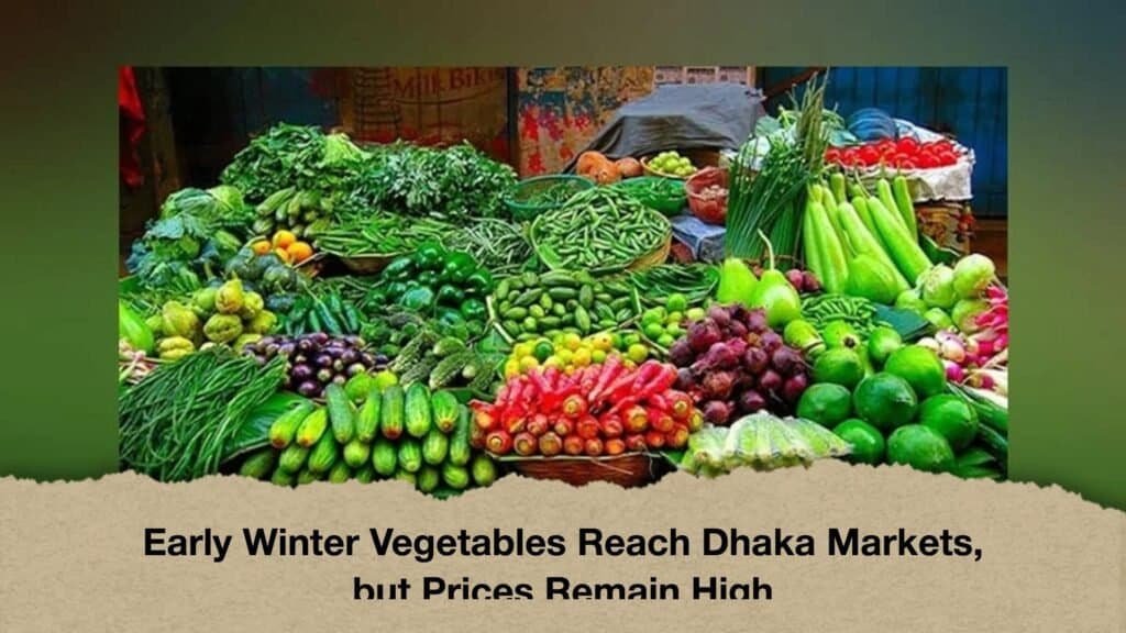 Early Winter Vegetables Reach Dhaka Markets, but Prices Remain High