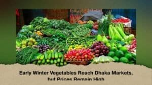 Early Winter Vegetables Reach Dhaka Markets, but Prices Remain High