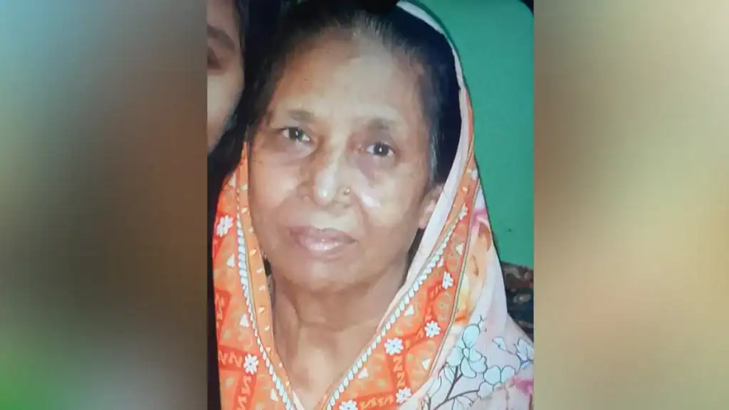 Elderly Woman Hacked to Death in Narayanganj Financial Dispute
