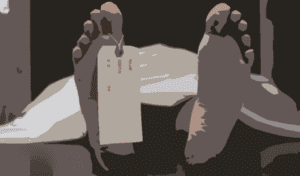 Female Garment Worker Killed in Tongi Bus Crash Sparks Protests