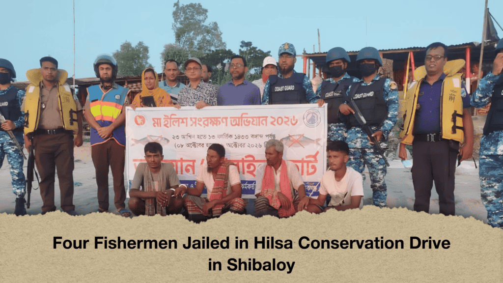 Four Fishermen Jailed in Hilsa Conservation Drive in Shibaloy
