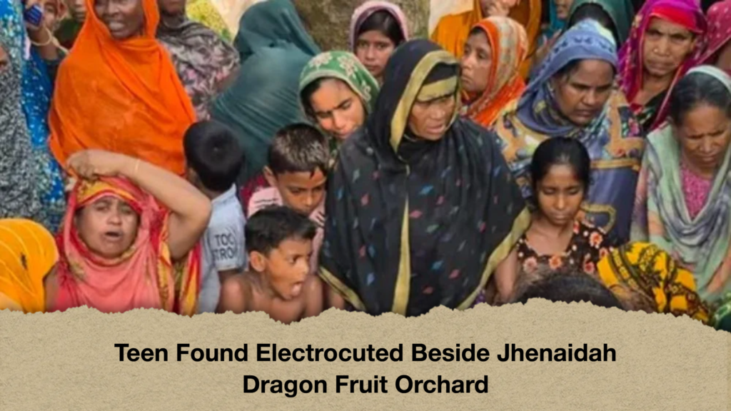 Teen Found Electrocuted Beside Jhenaidah Dragon Fruit Orchard