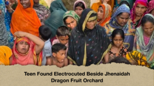 Teen Found Electrocuted Beside Jhenaidah Dragon Fruit Orchard