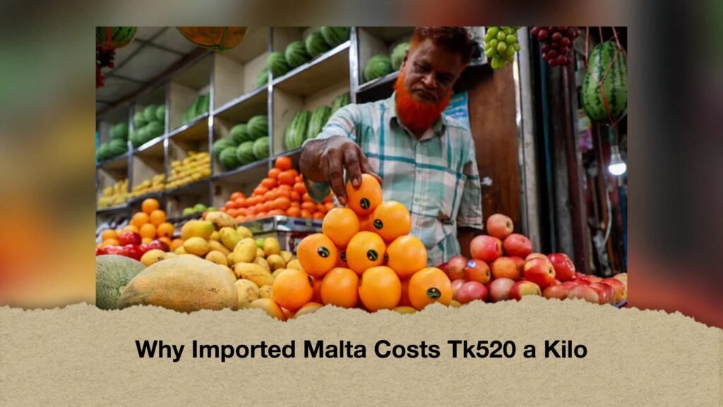 Why Imported Malta Costs Tk520 a Kilo 2 Why Imported Malta Costs Tk520 a Kilo