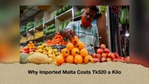 Why Imported Malta Costs Tk520 a Kilo